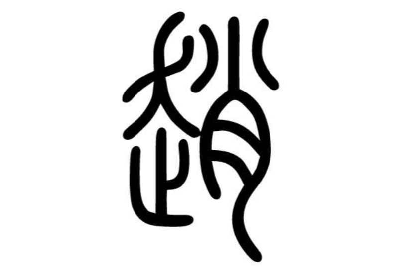 赵姓